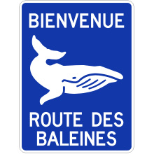 Identification de la route touristique (Route des Baleines)